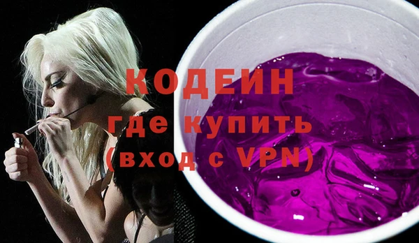 хмурый Верея